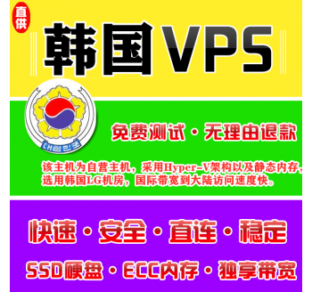 韩国VPS配置2048M申请，搜索引擎下载